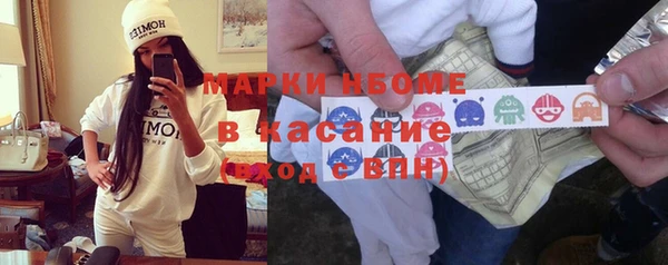 мдпв Гусев