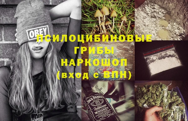 крисы Гусиноозёрск