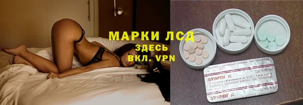 мдпв Гусев
