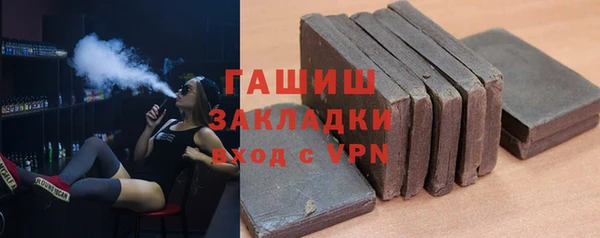мдпв Гусев