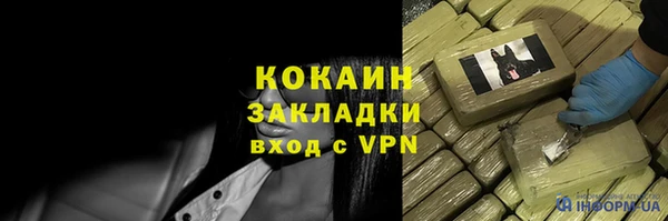 мдпв Гусев