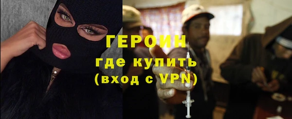мдпв Гусев