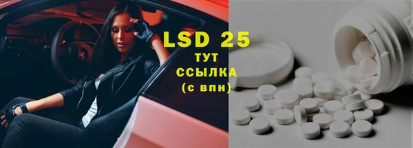 мдпв Гусев