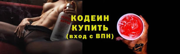 мдпв Гусь-Хрустальный