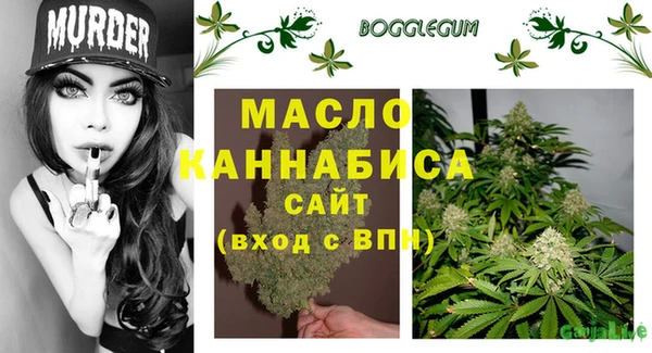 мдпв Гусев