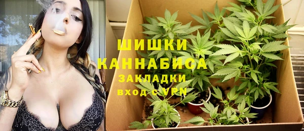 первитин Горнозаводск