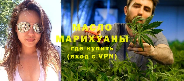 мдпв Гусев