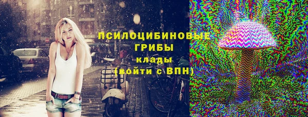 крисы Гусиноозёрск