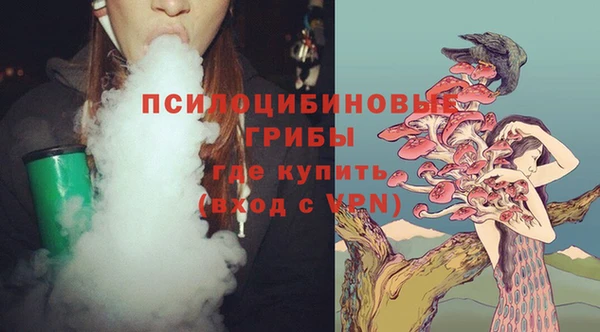 мдпв Гусев