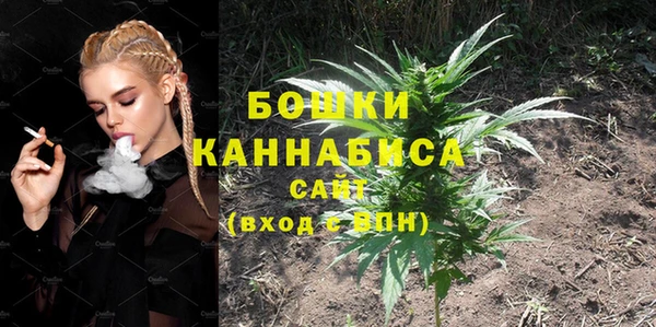 крисы Гусиноозёрск
