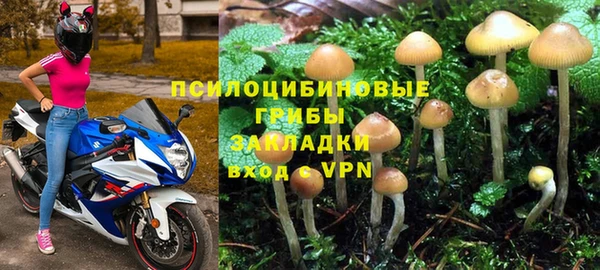 крисы Гусиноозёрск