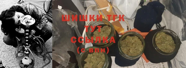 мдпв Гусь-Хрустальный