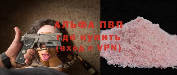 мдпв Гусев
