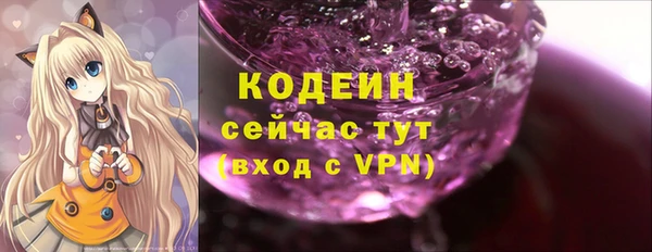 мдпв Гусев