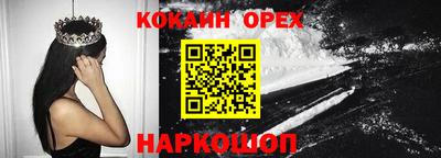 СК Бийск