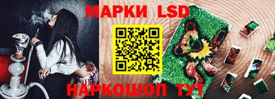 СК Бийск