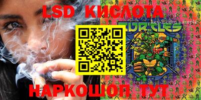 СК Бийск