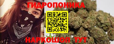 прущие грибы Балахна