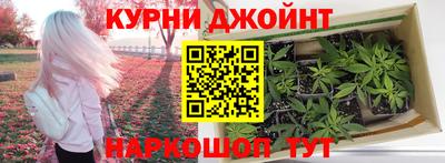 СК Бийск