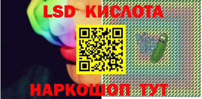 СК Бийск