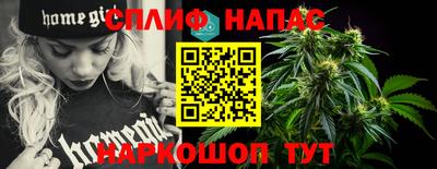 СК Бийск