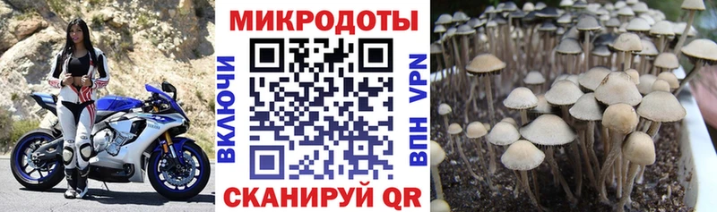 Псилоцибиновые грибы ЛСД  Дюртюли 