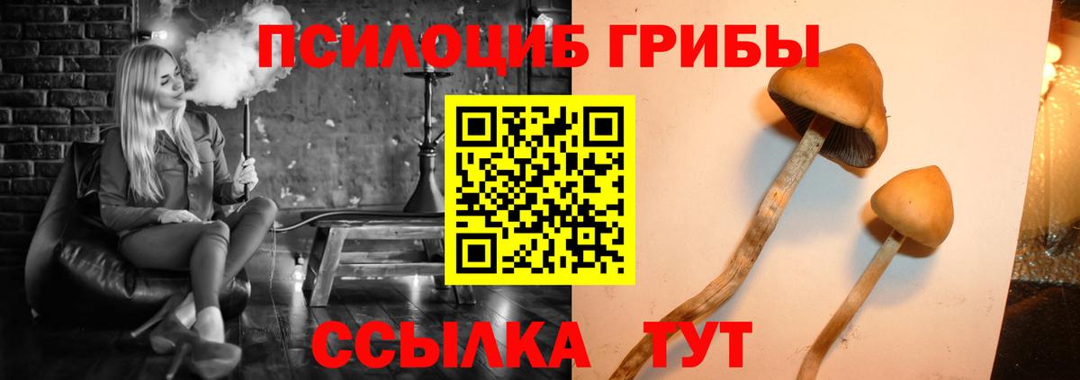 Галлюциногенные грибы прущие грибы  Вход с VPN  Дюртюли 