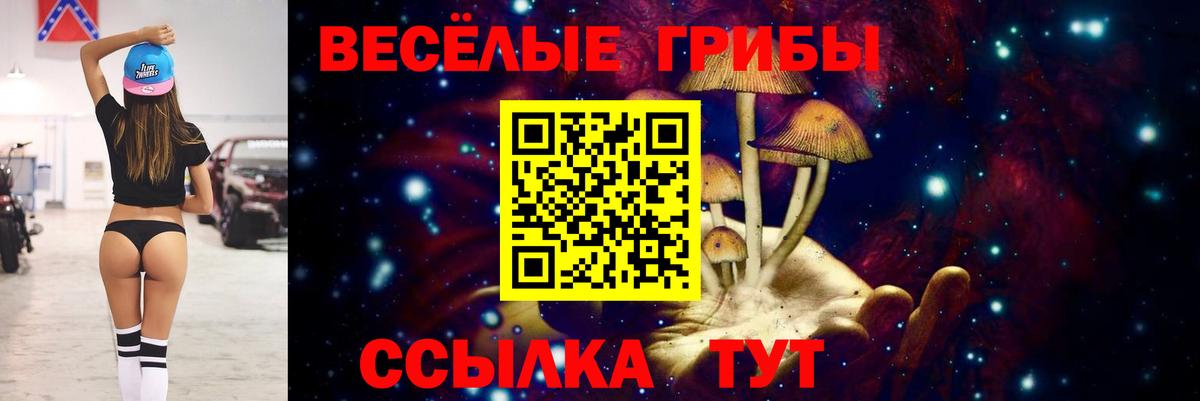 Псилоцибиновые грибы ЛСД  Дюртюли  Галлюциногенные грибы GOLDEN TEACHER 